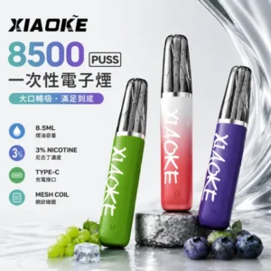 XIAOKE 梟客 8500口一次性電子煙 | 8.5mL油量 650mAh電池 Type-C快充 | 口紅外型輕巧便攜 20種特調口味
