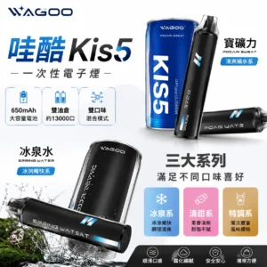 哇酷 WAGOO & KIS5 6500口一次性電子煙 ｜ 聯名款雙倉獨立雙芯 650mAh電池 Type-C快充 ｜ 雙口味切換/混合輸出 12款口味